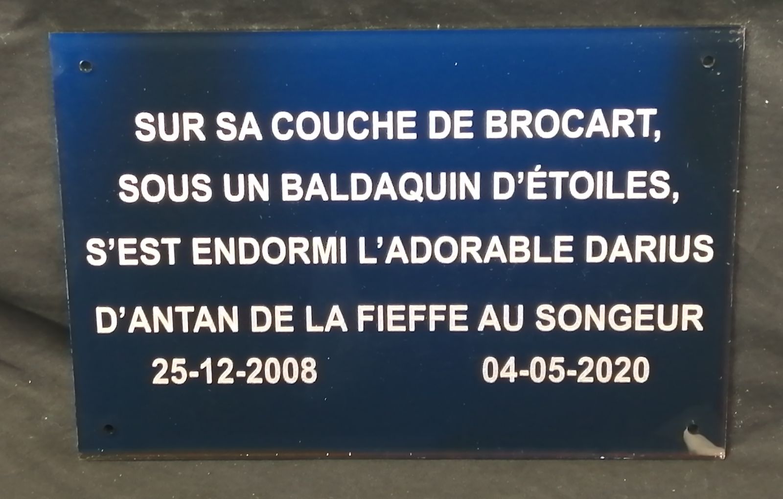 Plaque commémorative en plexi fond noir lettrages dorés pour un chien : darius