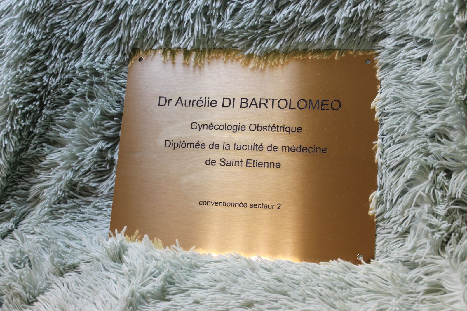plaque professionnelle en laiton doré avec gravure pour une gynecologue