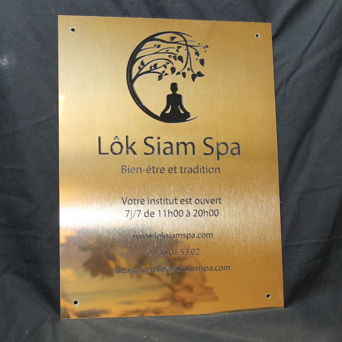 Plaque professionnelle en laiton doré pour un spa